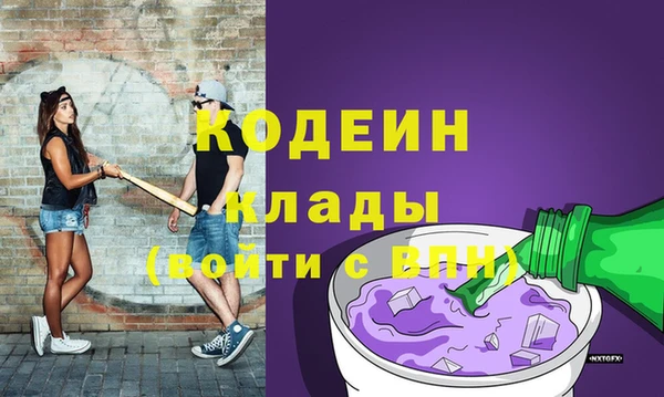 индика Верея